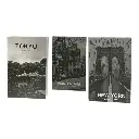 SET DE LIBROS DECORATIVOS 17.5X27X5.5CM