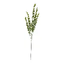 RAMA ARTIFICIAL EUCALIPTO 75CM