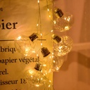 LUZ FORMA DE CEBOLLA LED 10L CALIDA