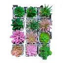 SUCULENTA ARTF. EN MACETA REF:ES22714 5X7CM