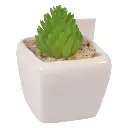 SUCULENTA ARTF. EN MACETA REF:ES22714 5X7CM