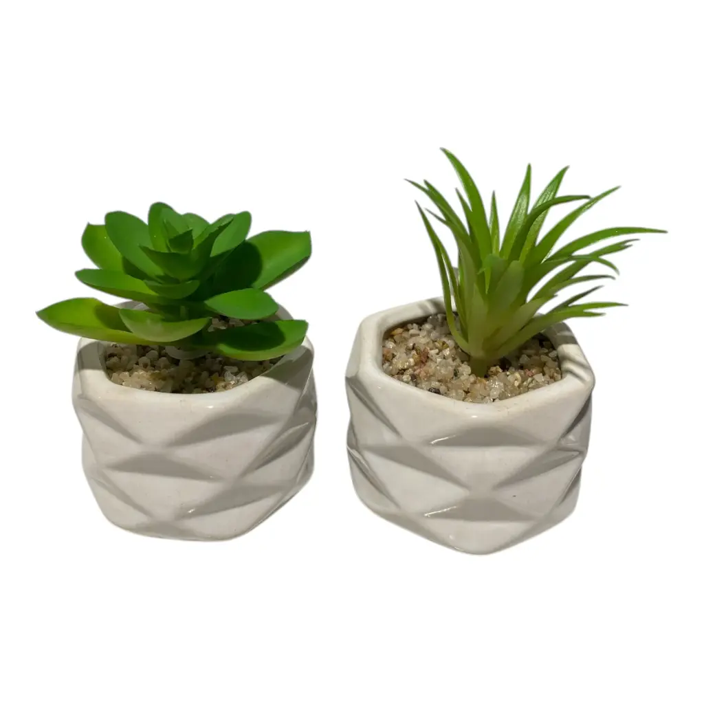 SUCULENTA ARTF. EN MACETA REF:ES22713 5X7CM  