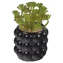 SUCULENTA ARTF. EN MACETA REF:ES22713 5X7CM  