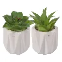 SUCULENTA ARTF. EN MACETA CERAMICA REF:ES22771 8X13CM 