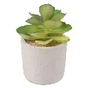 SUCULENTA ARTF. EN MACETA CERAMICA REF:ES22770 8X13CM 