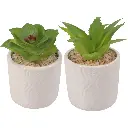 SUCULENTA ARTF. EN MACETA CERAMICA REF:ES22770 8X13CM 