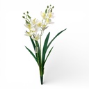 ORQUIDEA CYMBIDIUM LATEX 60CM