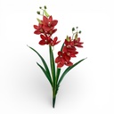 ORQUIDEA CYMBIDIUM LATEX 60CM