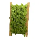 CORDON HOJAS VERDE REF:IC83354774 