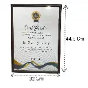 PORTA RETRATO O CUADRO A3 29.7X42CM