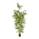 PLANTA BAMBU ARTF. Ø80CM X 240CM