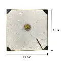 CUADRO LIENZO OLEO HOJA DE BANANO MARCO DORADO 80X80CM