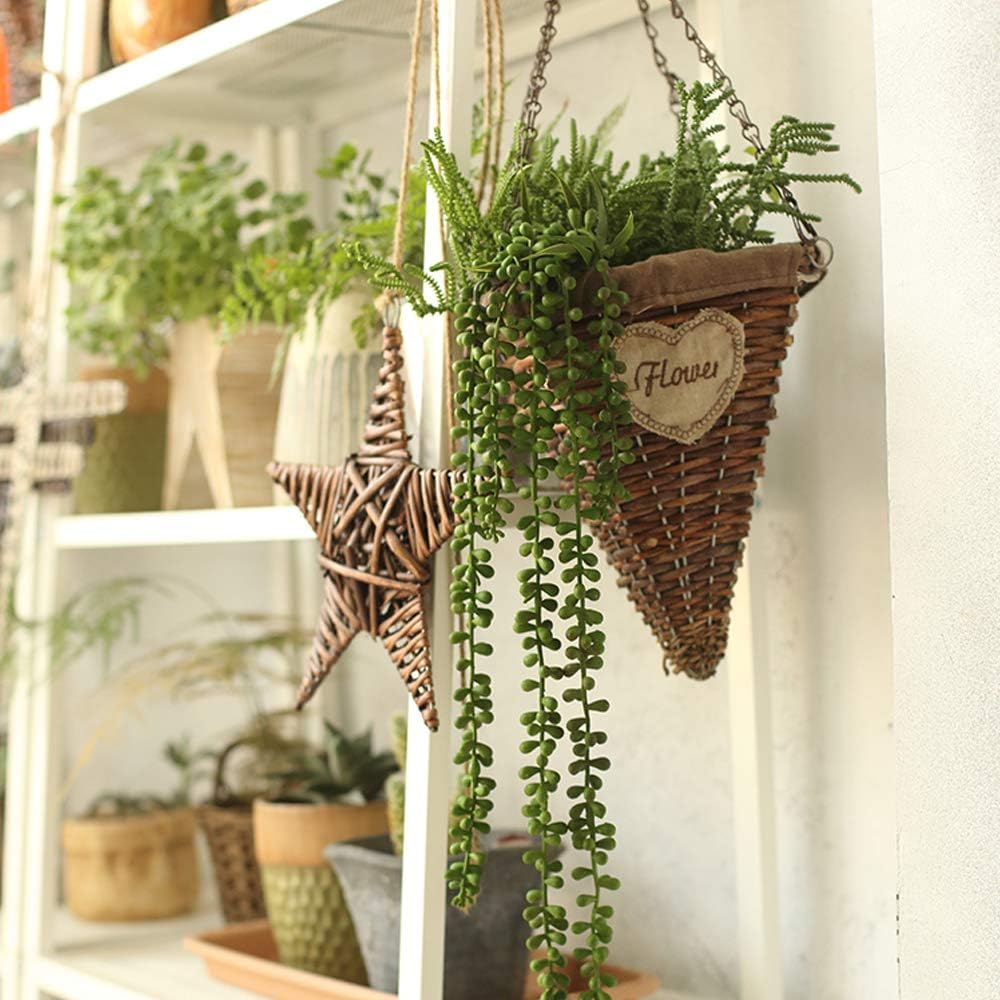 SUCULENTA COLGANTE 60CM