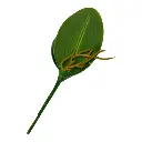 HOJA DE ORQUIDEA PEQUEÑA 25X8CM