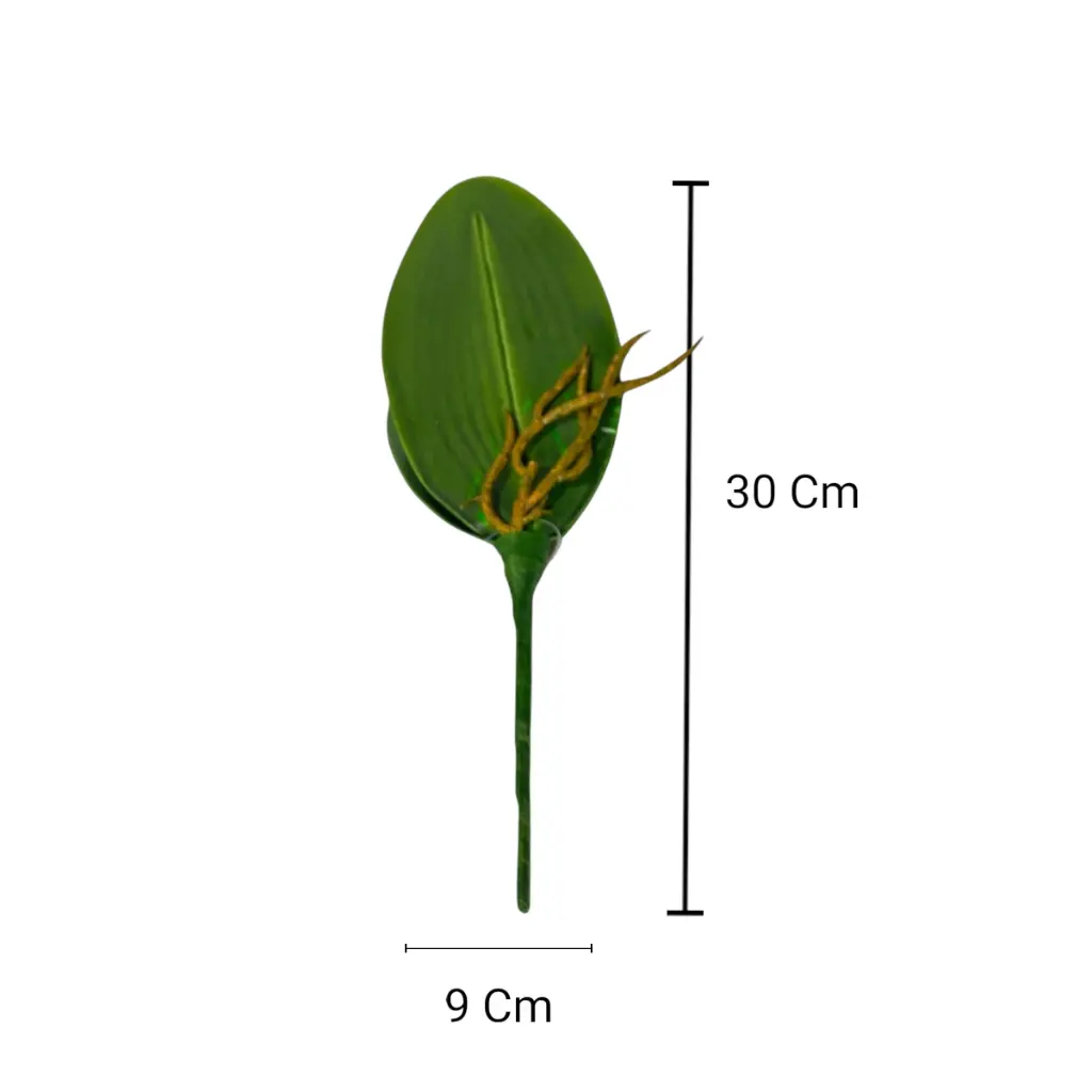 HOJA DE ORQUIDEA GRANDE 9X30CM