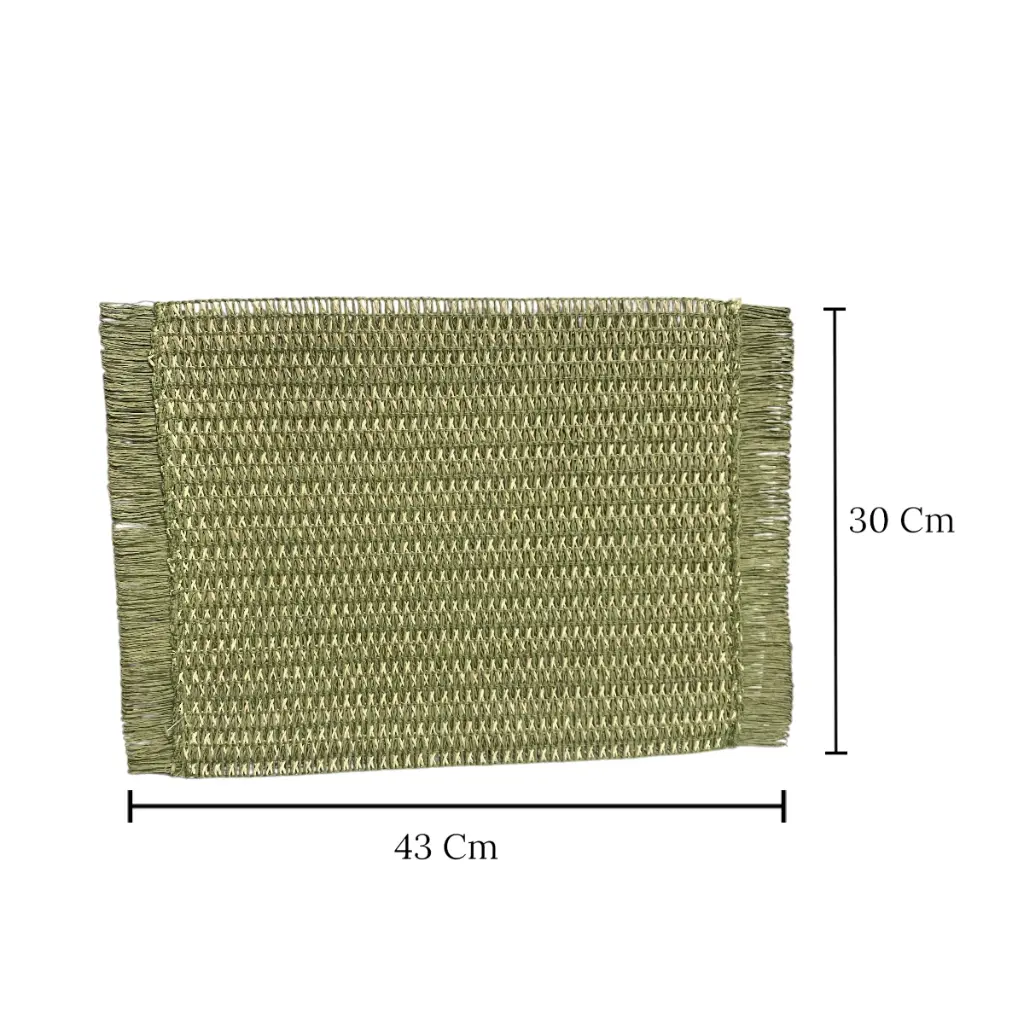 INDIVIDUAL RECTANGULAR PLAST. TEJIDO REF:ES27970 30X43CM