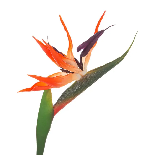 FLOR ARTIFICIAL STRELITZIA 60CM REF:CH12513088