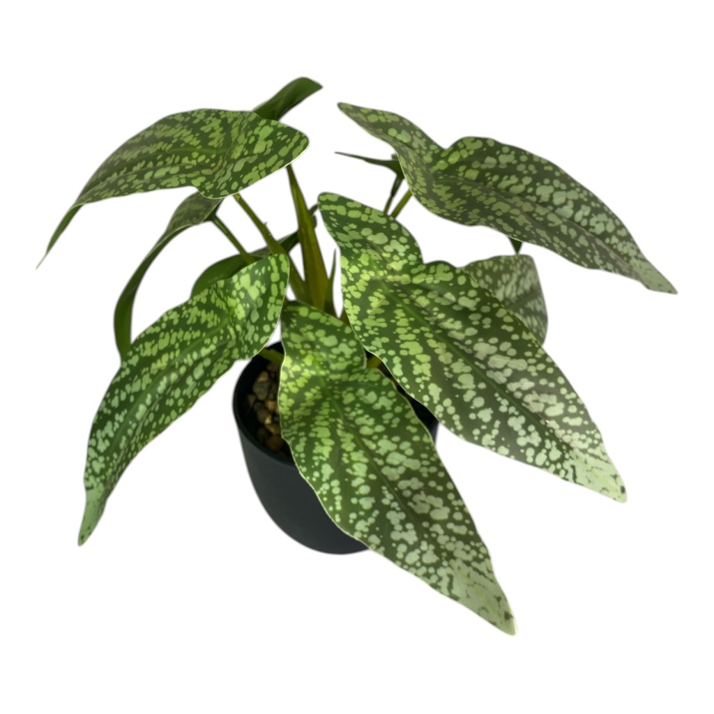 PLANTA BEGONIA ARTIF. 27CM