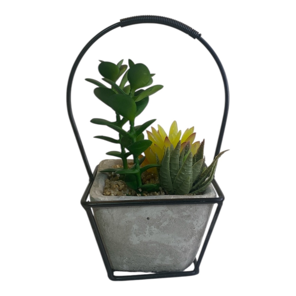 ARREGLO CACTUS EN CANASTA 23CM
