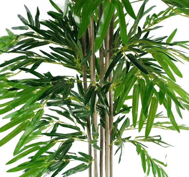 BAMBOO 180CM CON MACETA
