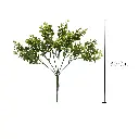 RELLENO DE HOJAS ARTF. 30CM 