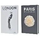 ES28074 LIBRO DECORATIVO 17X27X4.5CM 
