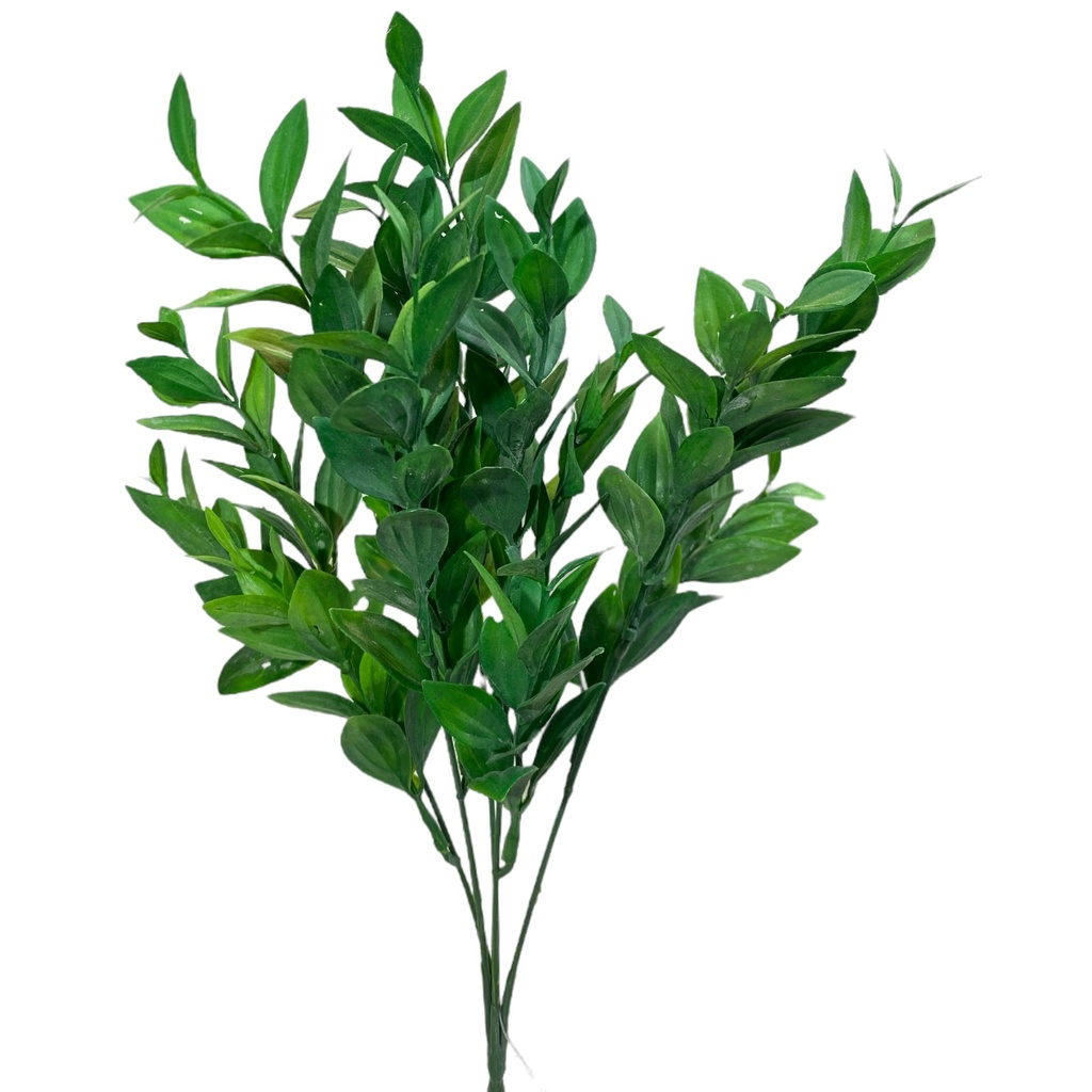 FOLLAJE DE RUSCO O BUXUS SEMPERVIRENS, RELLENO DE 36CM