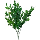 FOLLAJE DE RUSCO O BUXUS SEMPERVIRENS, RELLENO DE 36CM