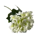 HORTENCIA REAL TOUCH 20X70CM