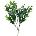 FOLLAJE DE RUSCO O BUXUS SEMPERVIRENS, RELLENO DE 36CM