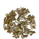 Flor Navideña Ponsetia Champagne destellos. Ref:ES29412. (Ø18cm x 50cm)