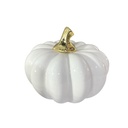 CALABAZA DE PORCELANA DOS COLORES,       10X11 CM