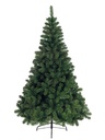 ARBOL DE NAVIDAD TRADICIONAL FRONDOSO CUERPO 245CM X 140CM