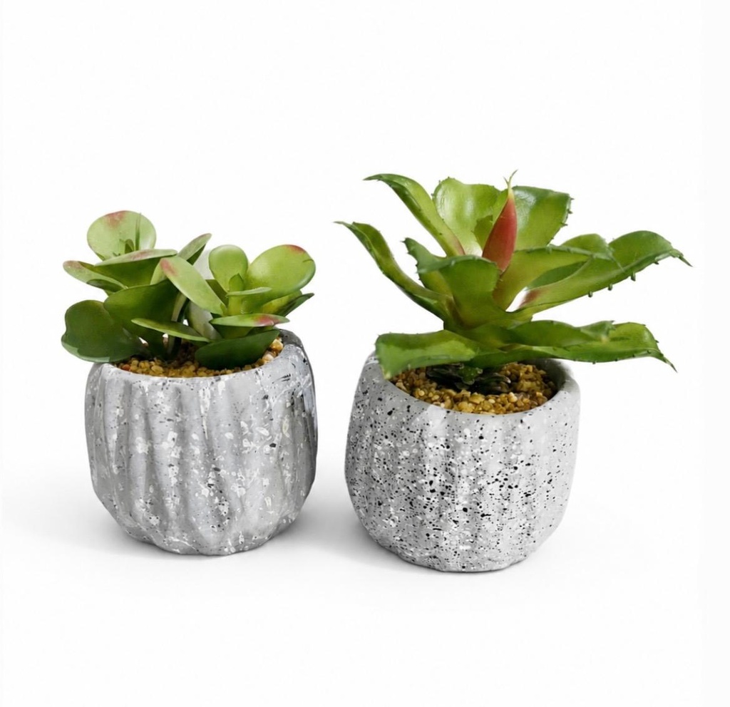 CACTUS CON MACETA 21CM