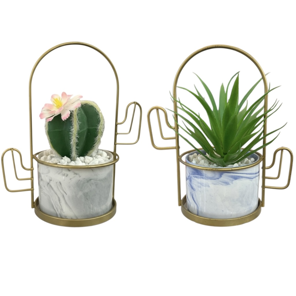 SUCULENTA EN MACETA CON BASE DORADA 18CM