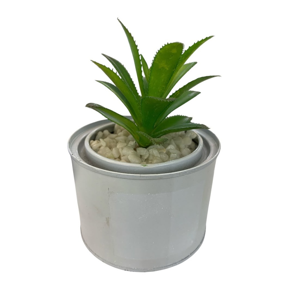 CACTUS EN POTE BLANCO 10X7.5CM.