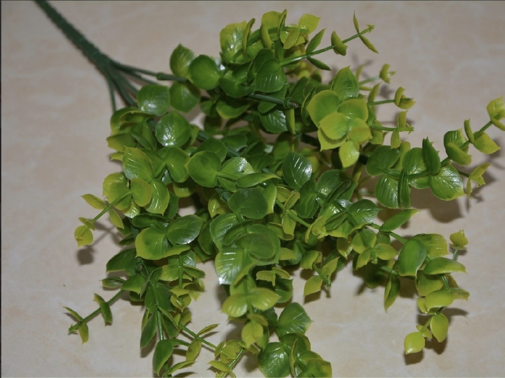 EUCALIPTO 35 RAMAS DE 30CM