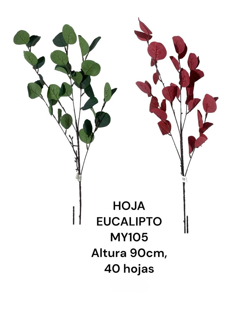 HOJA DE EUCALIPTO L:90CM X40H