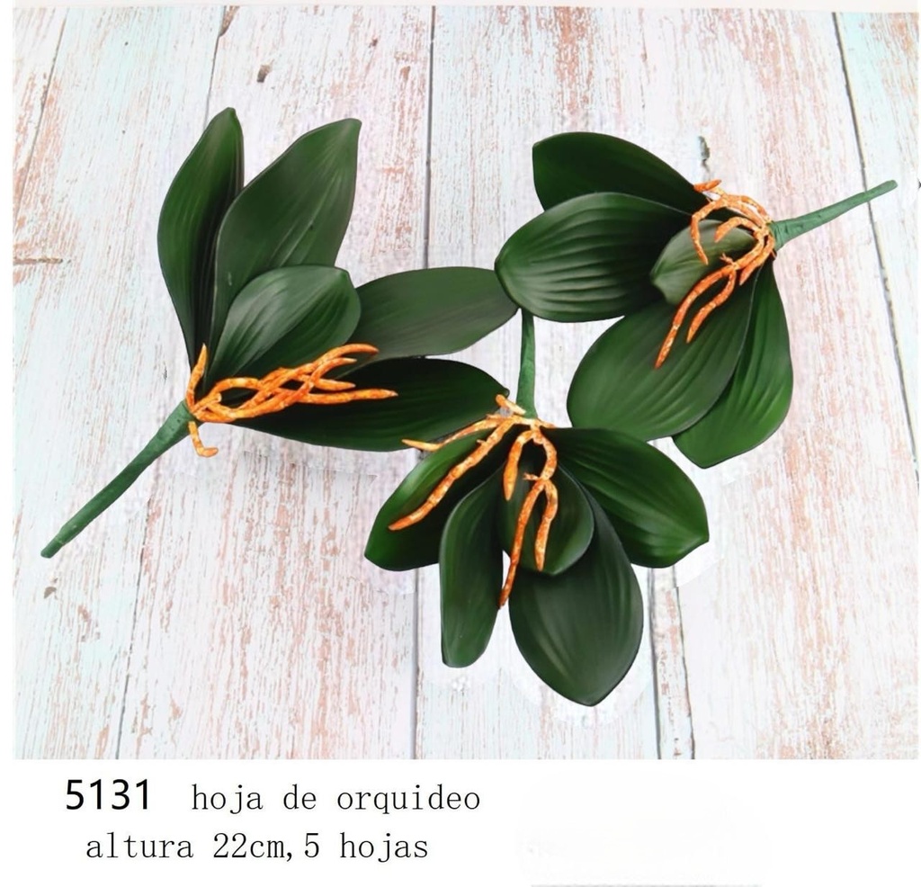 HOJA DE ORQUIDEA PREMIUM PEQUEÑA 22X7CM 5H
