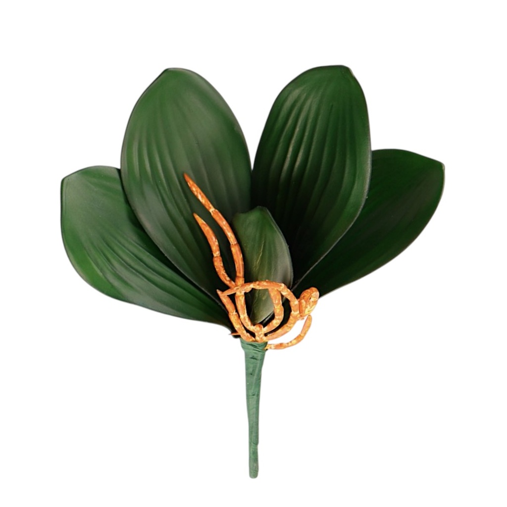HOJA DE ORQUIDEA PREMIUM PEQUEÑA 22X7CM 5H