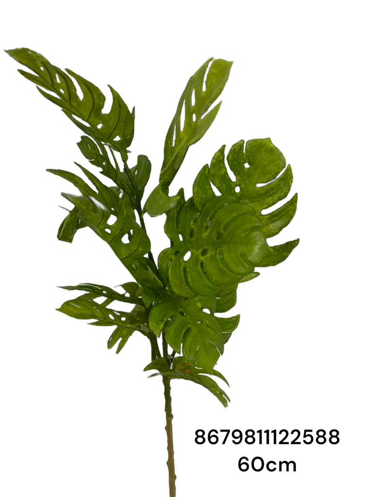 HOJA DE TORTUGA