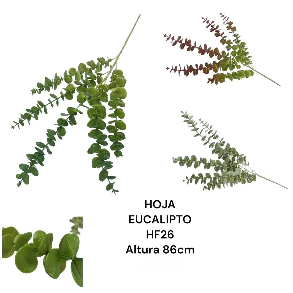 HOJAS EUCALIPTO 86CM