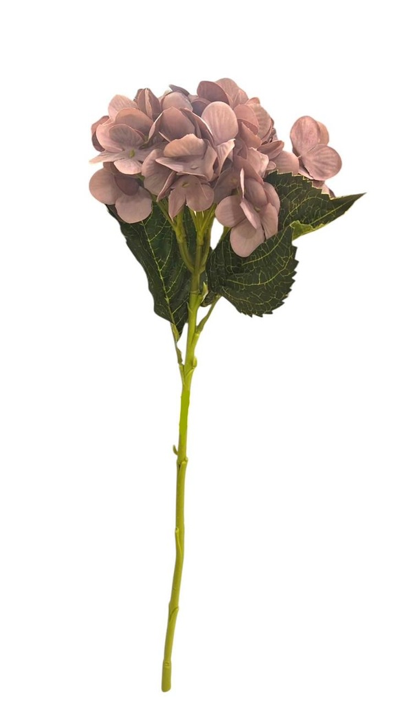 HORTENSIA OTONIA 50CM  96PETALOS