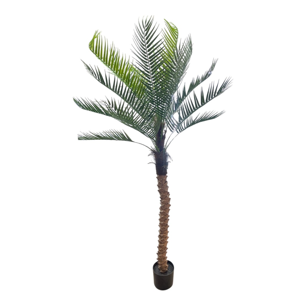 IC828-15 PLANTA ARTIFICIAL PHOENIX 190CM