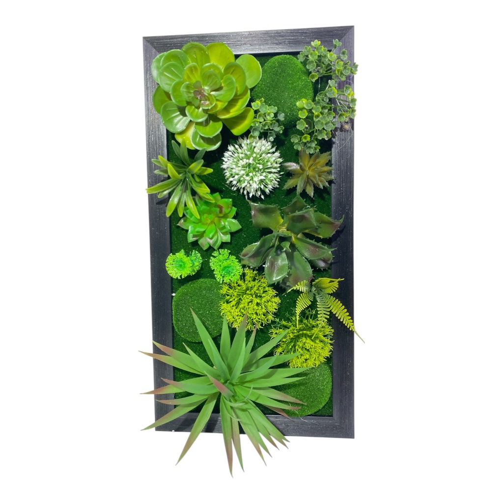 JARDIN CACTUS CUADRO DE PARED 25X48CM