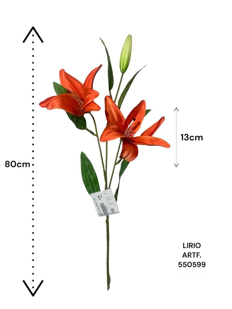 LIRIO ARTF. TF50-19051/D5474   80CM