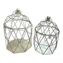 JAULAS CHANPAGNE SETX2 17x30cm y 14x25cm