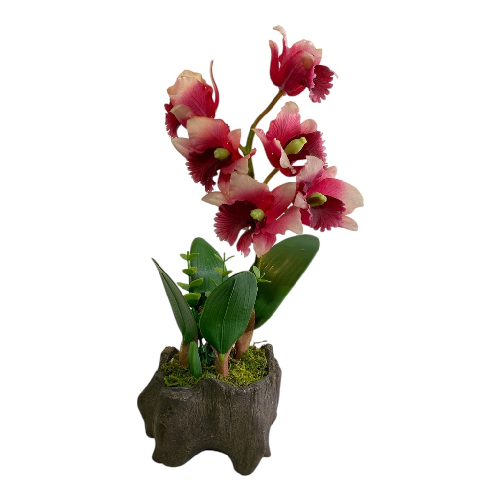 ORQUIDEA 5 FLORES CON MACETA EN FORMA DE TRONCO 33 CM
