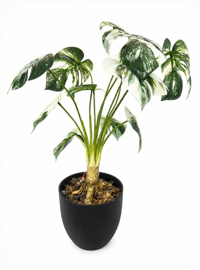 PLANTA ART. HOJA TORTUGA 55CM