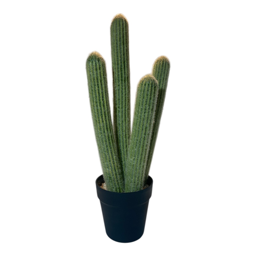 PLANTA ARTIFICIAL MINICACTUS IC570-14